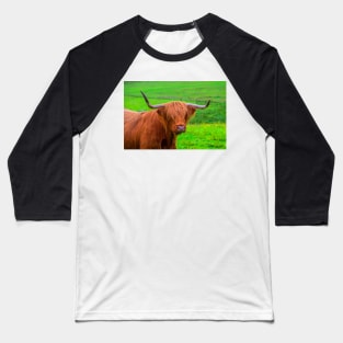 Highland Cow closeup Baseball T-Shirt